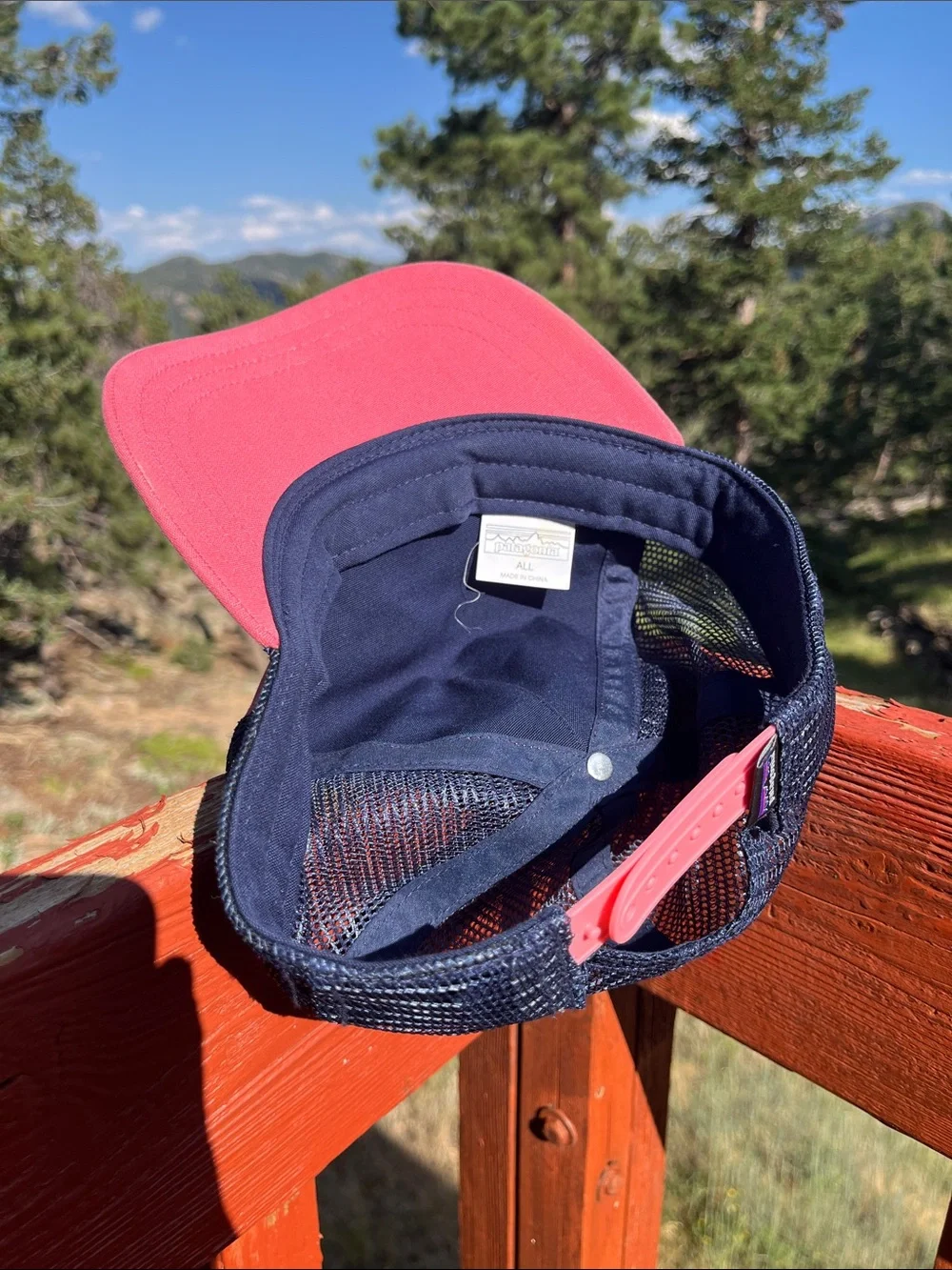 Patagonia Pink and Navy Trucker Hat